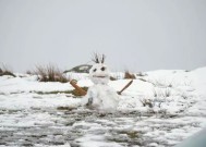 英国天气：英国气象局预测未来几天将有18英寸的降雪