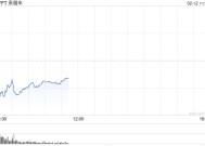 Lyft第四财季业绩不佳 股价下跌9%