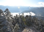 雪松信托，拨云见雾，探寻真相之旅