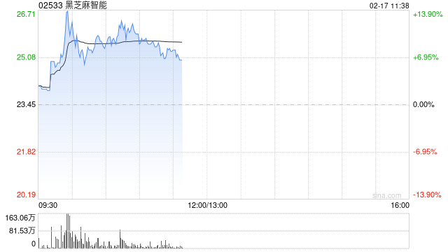 黑芝麻智能盘中涨近14% 公司与比亚迪是长期战略合作关系